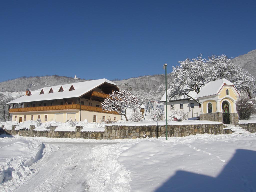Guesthouse Mocivnik Okroglice Esterno foto